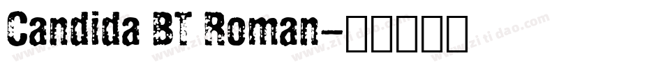 Candida BT Roman字体转换